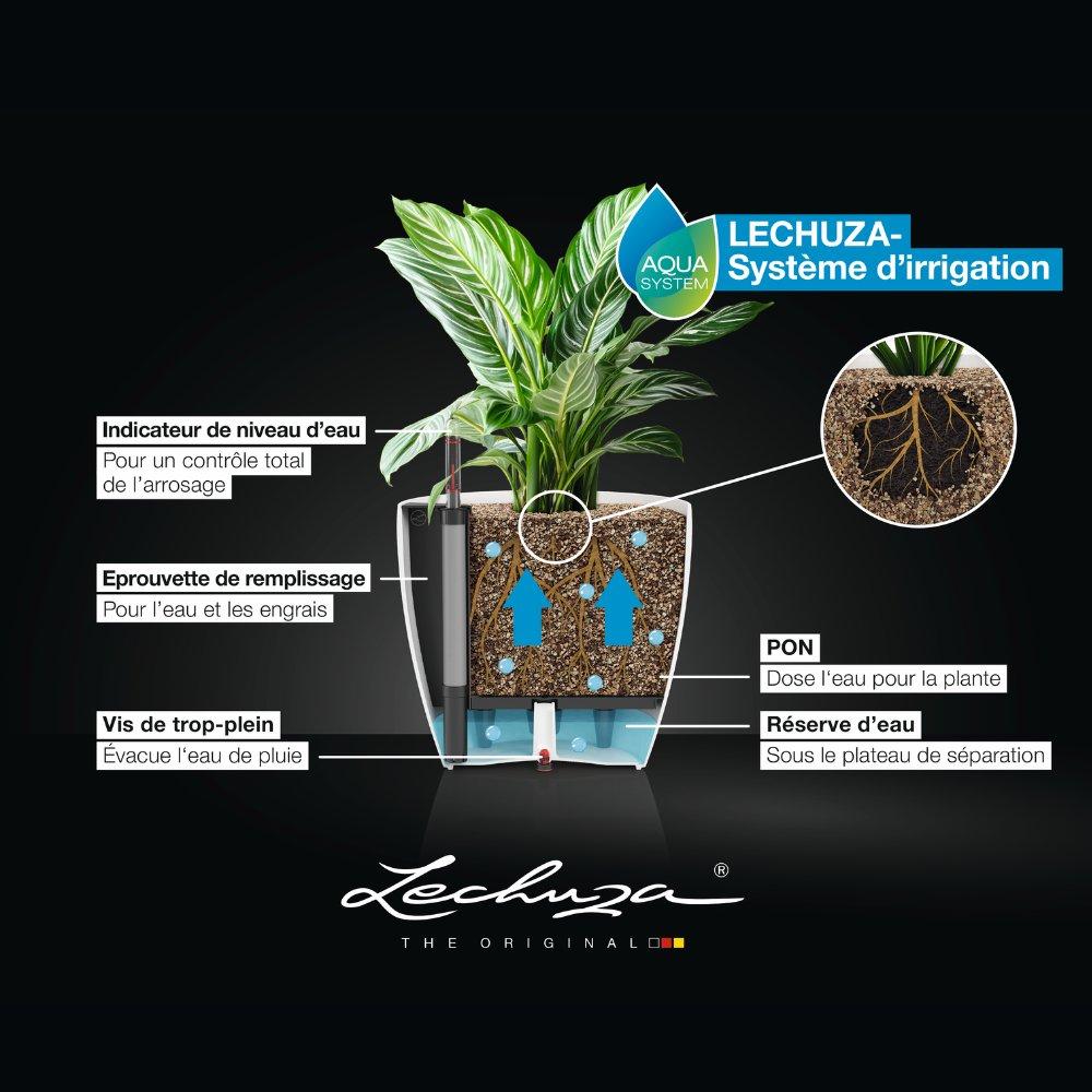 le_CLASSICO-12-14_FR