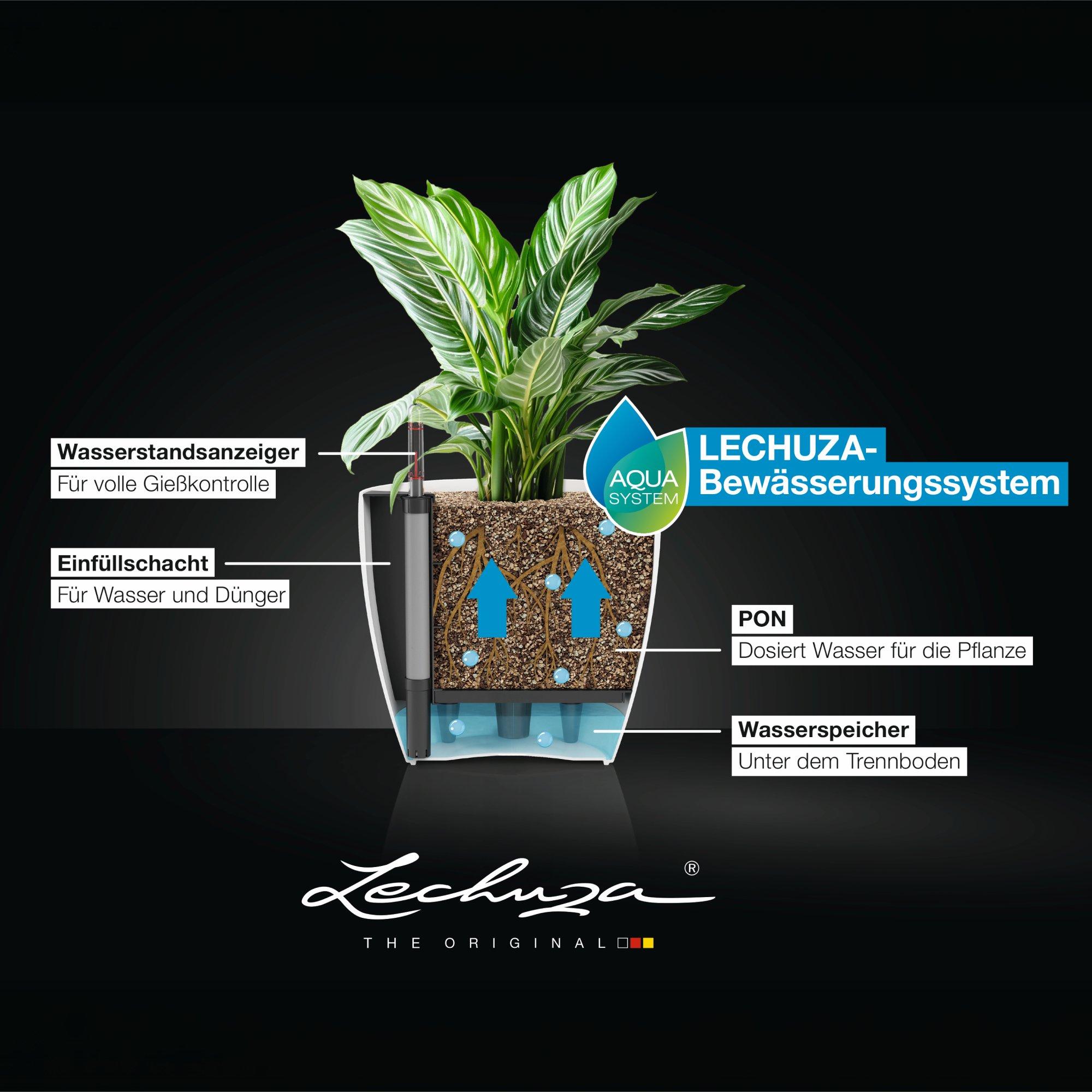 le_CLASSICO-12_14_DE