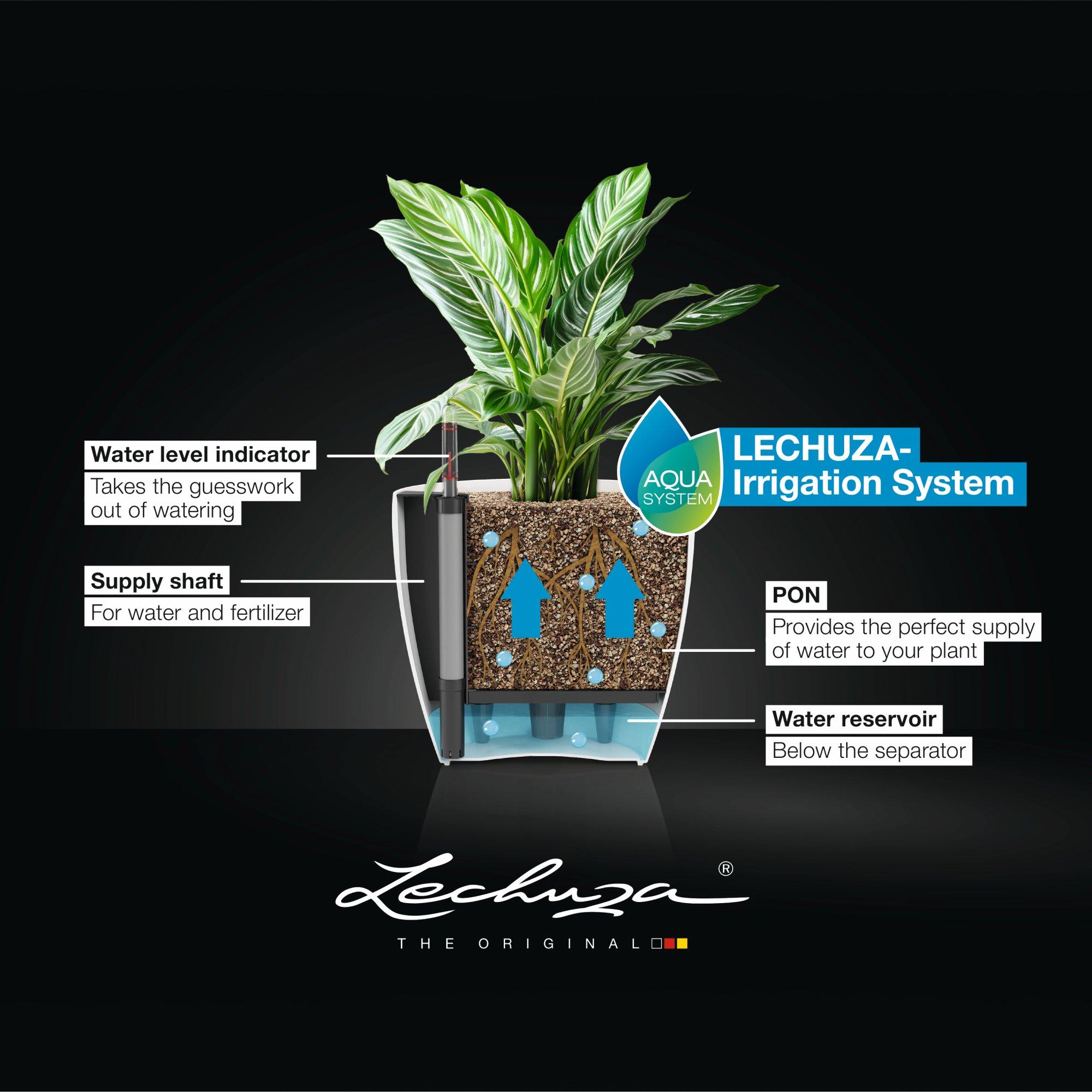 le_CLASSICO-12_14_EN