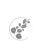 Solid eucalyptus wood Solid eucalyptus wood