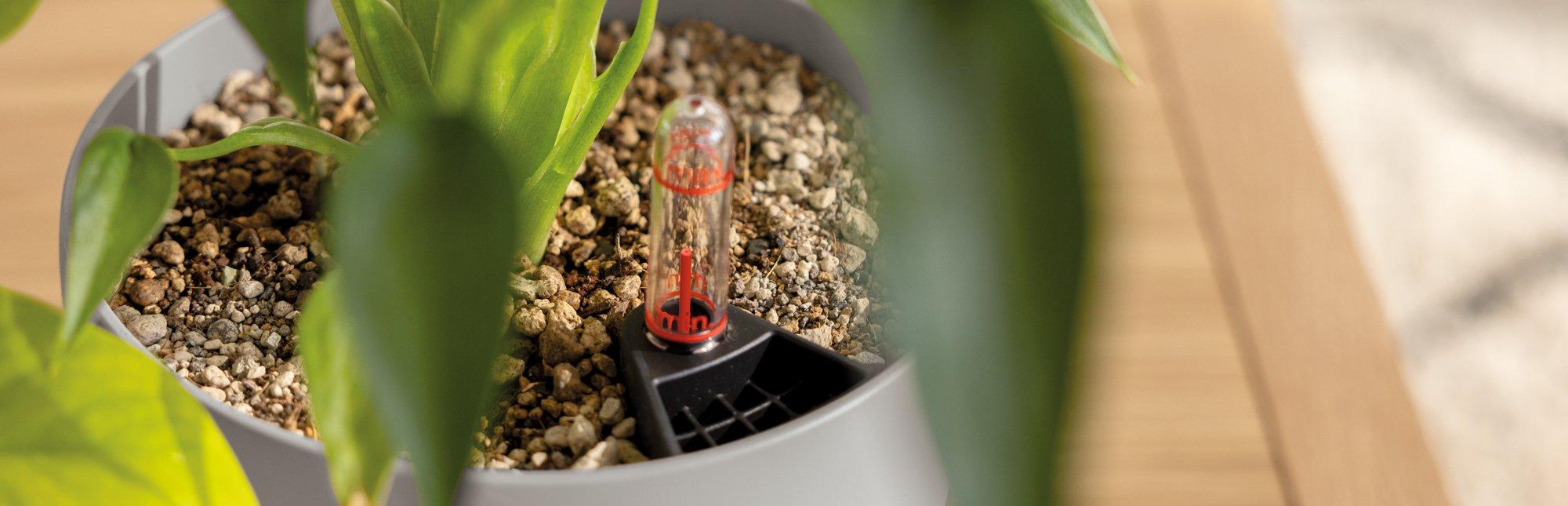 Tips for a green workplace