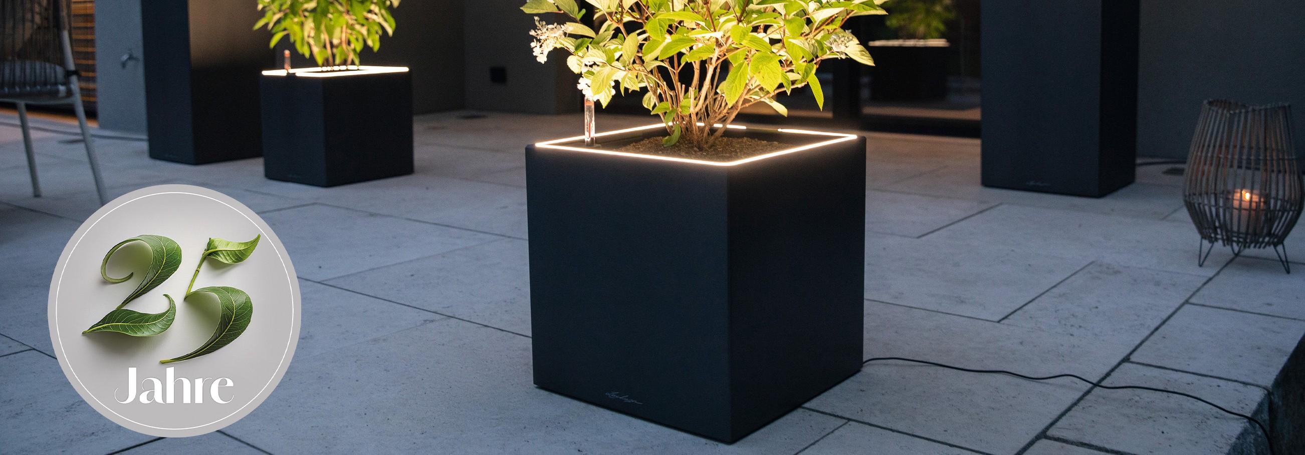 Tips for
    a green workplace