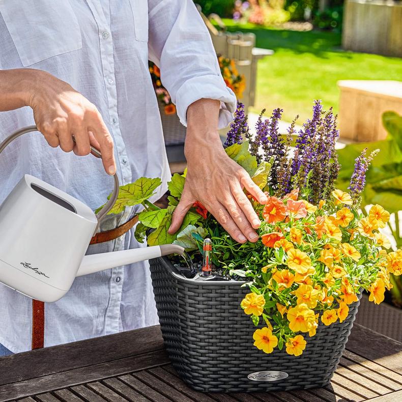 le_bacino-cottage_product_addi_03