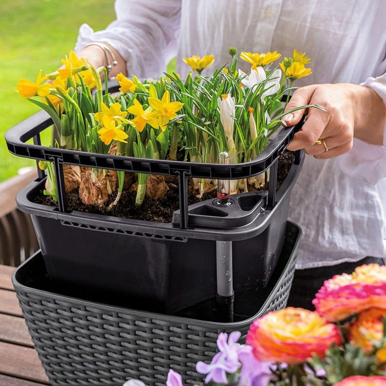 le_bacino-cottage_product_addi_04