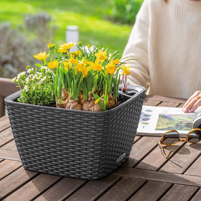 le_bacino-cottage_product_addi_05