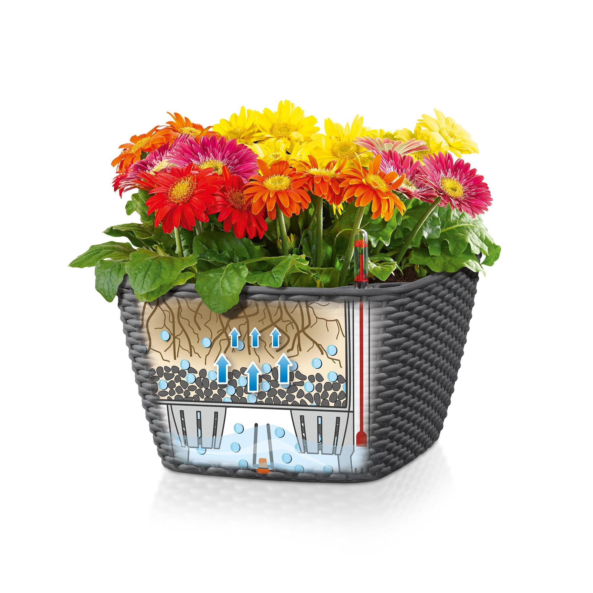 le_bacino-cottage_product_addi_sws