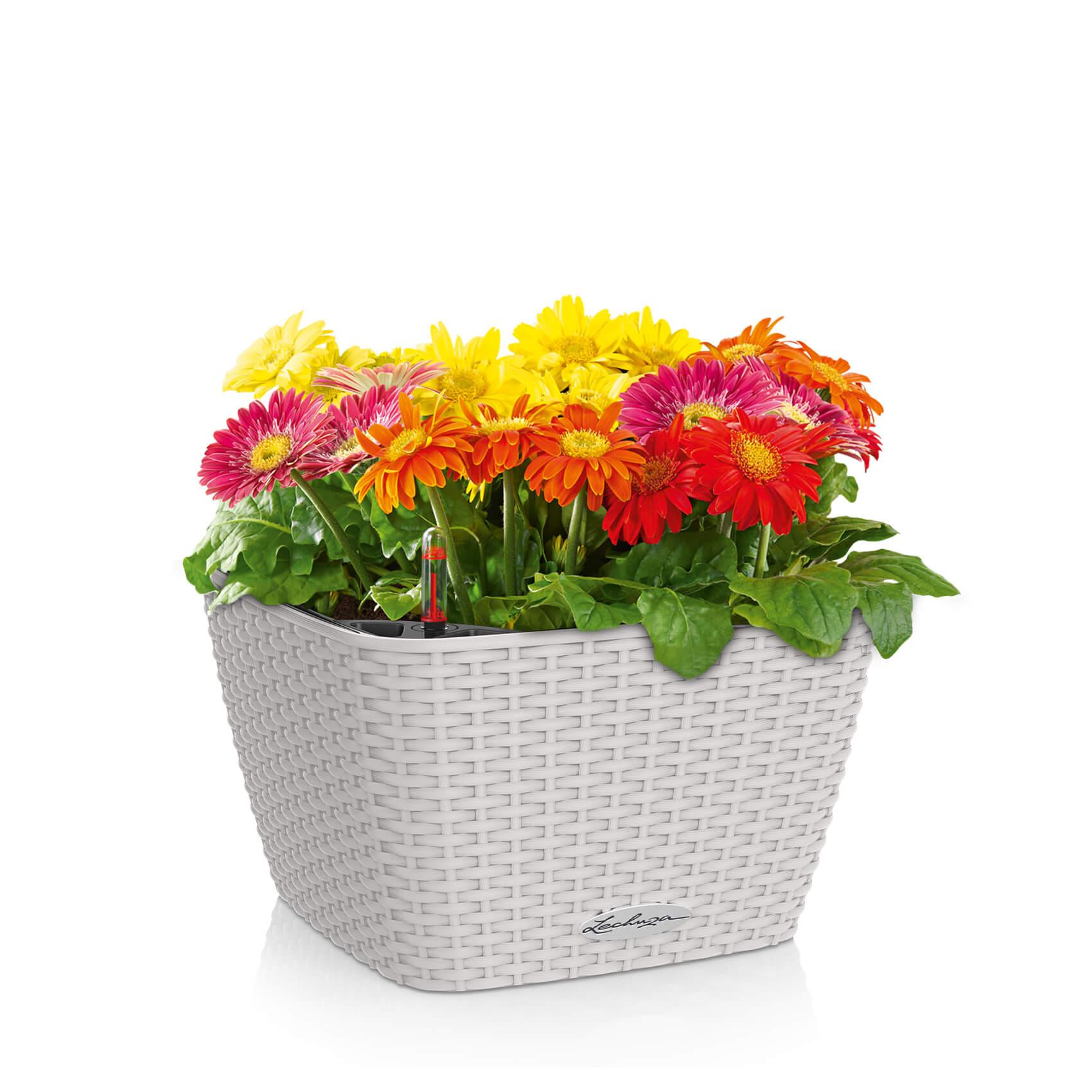 BACINO Cottage 30 light grey