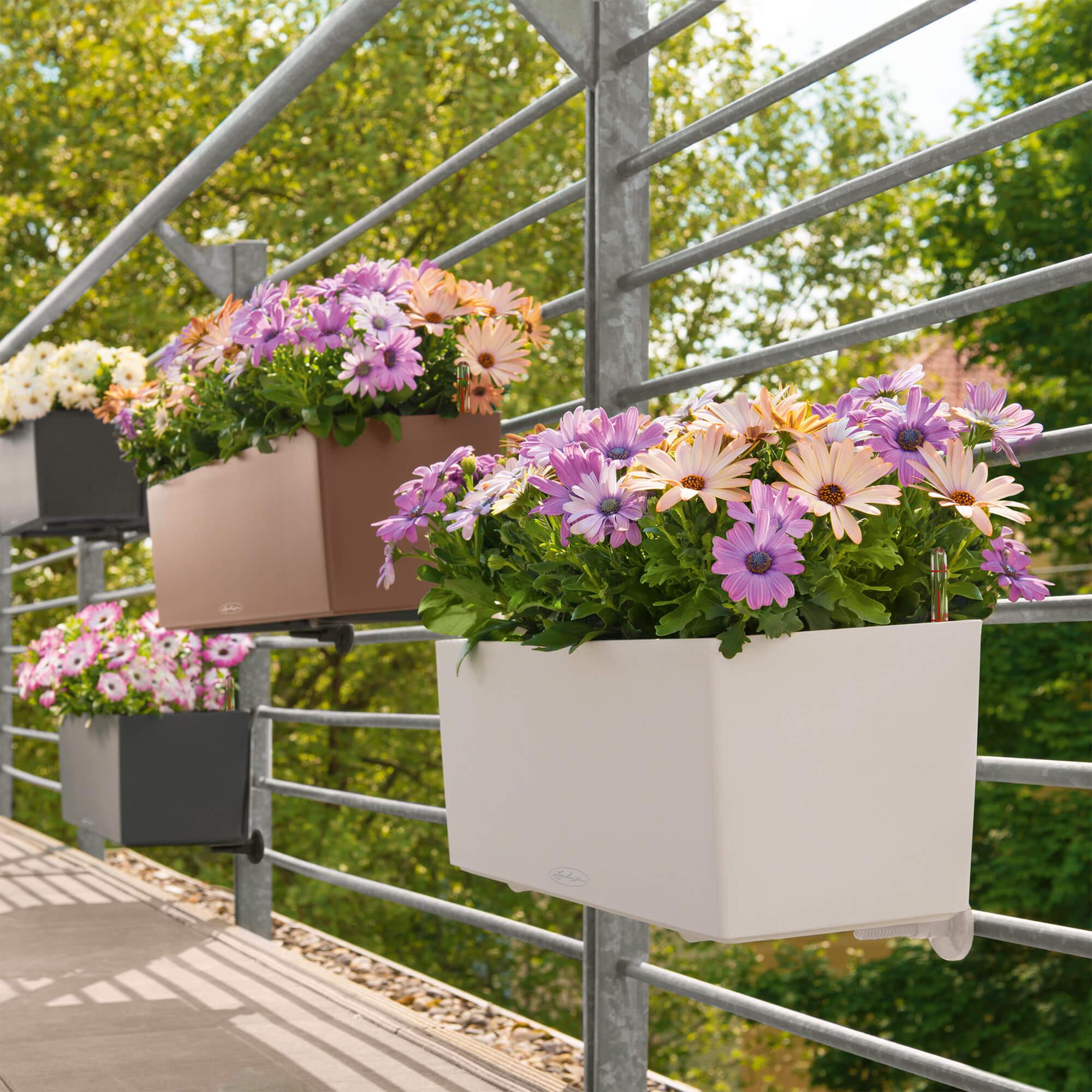 le_balconera-color80_product_addi_03