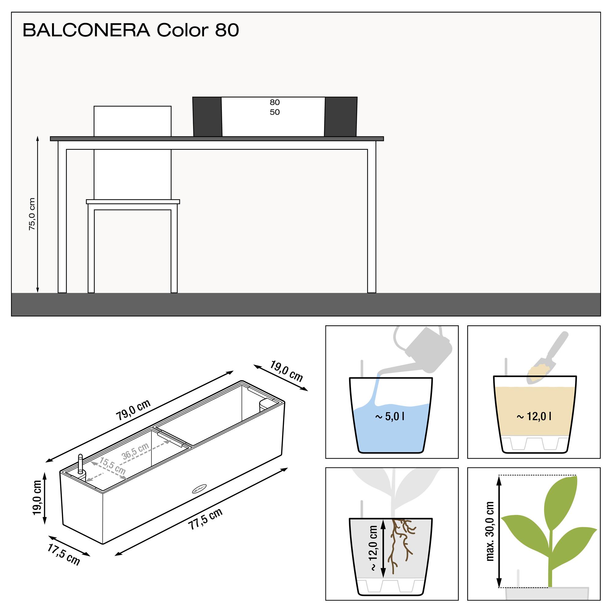 BALCONERA Color 80 slate +  LECHUZA Balcony brackets black additional thumb 5