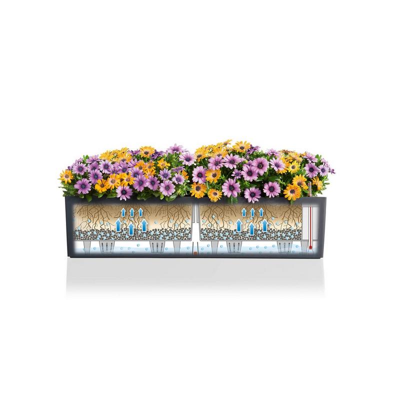 le_balconera-color80_product_addi_sws