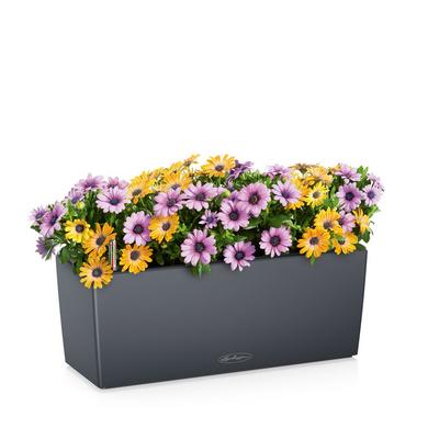 BALCONERA Color 80 gris ardoise