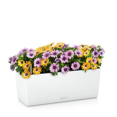 BALCONERA Color 50 white