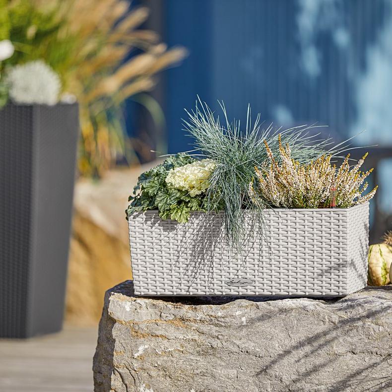 le_balconera-cottage50_product_addi_05