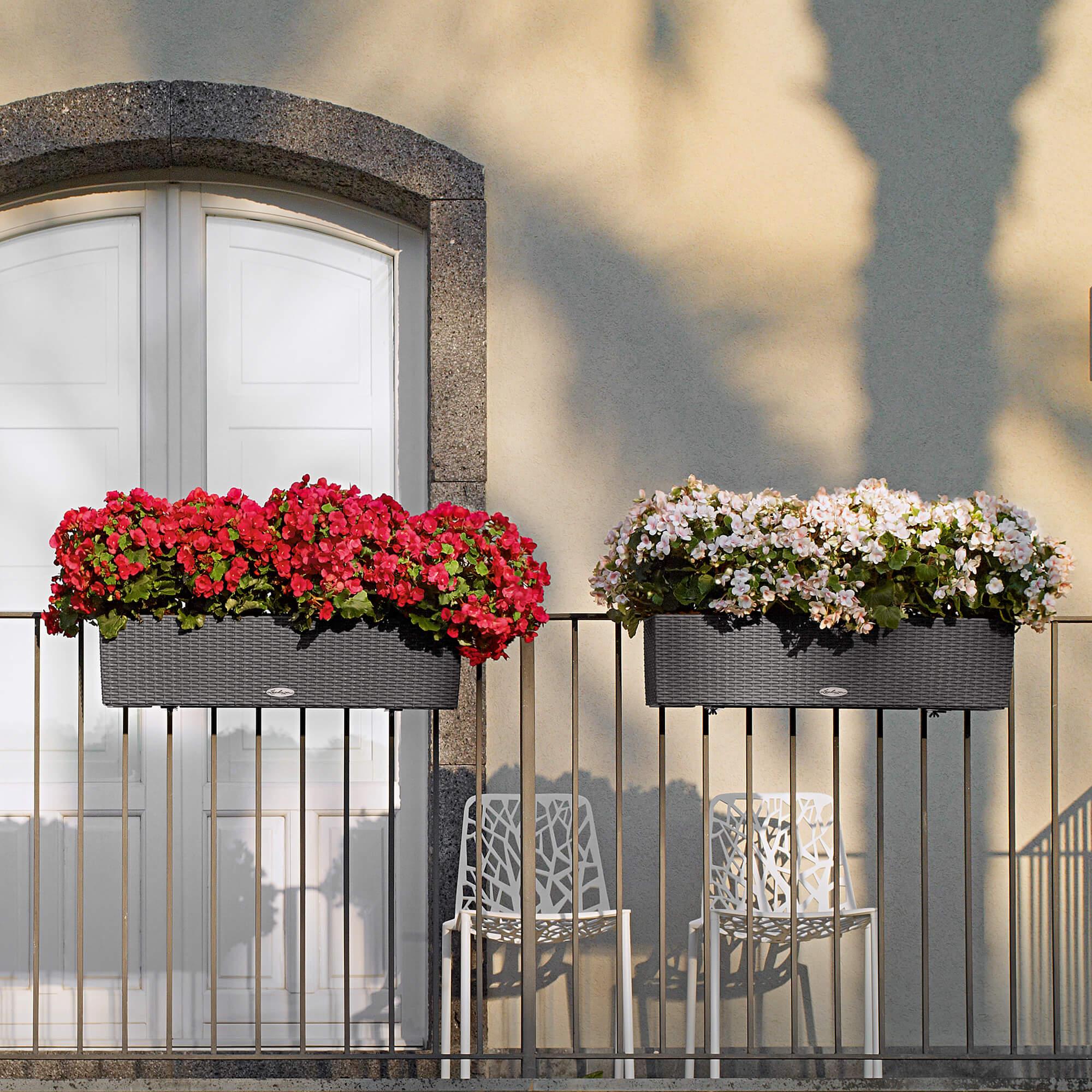 le_balconera-cottage80_product_addi_03