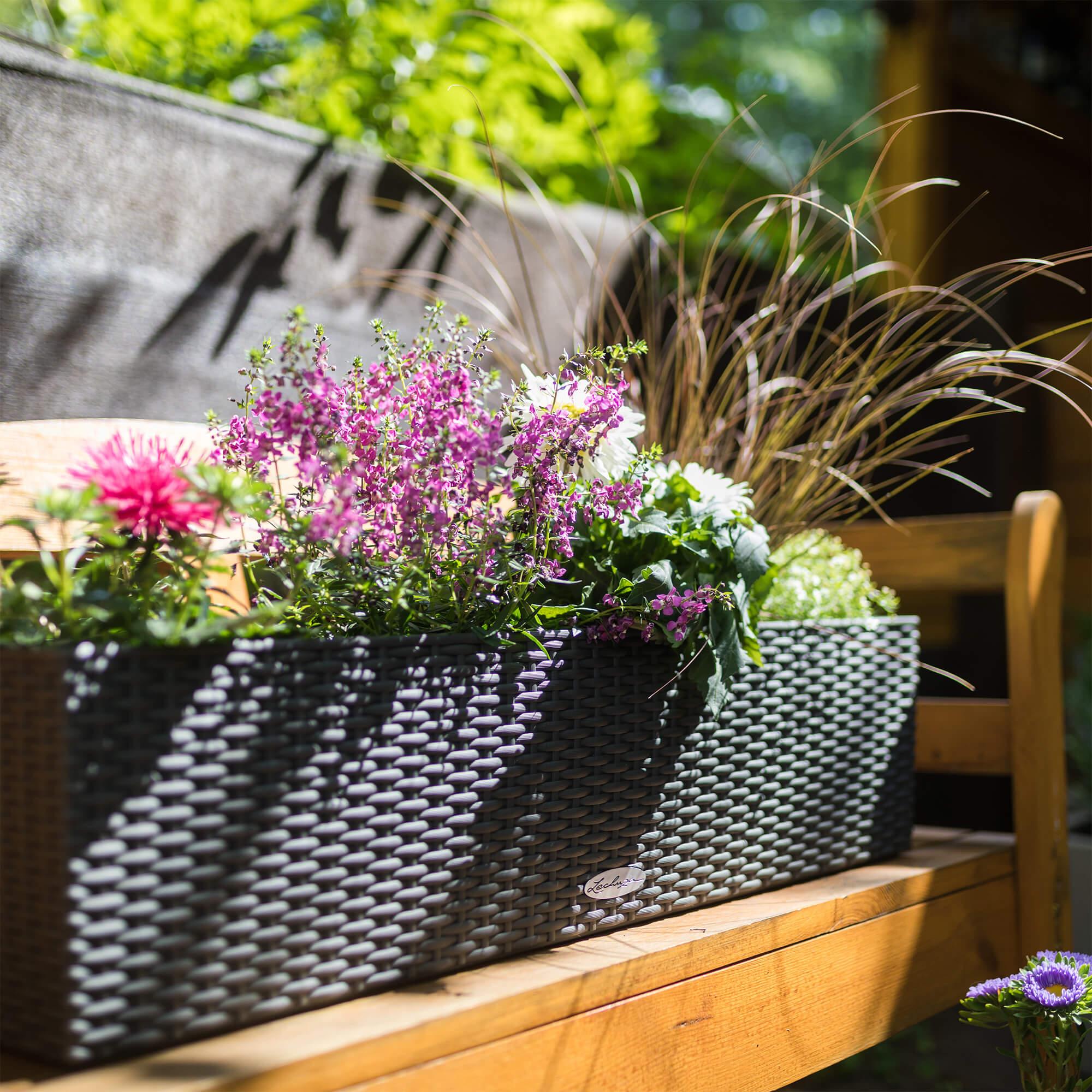 le_balconera-cottage80_product_addi_04