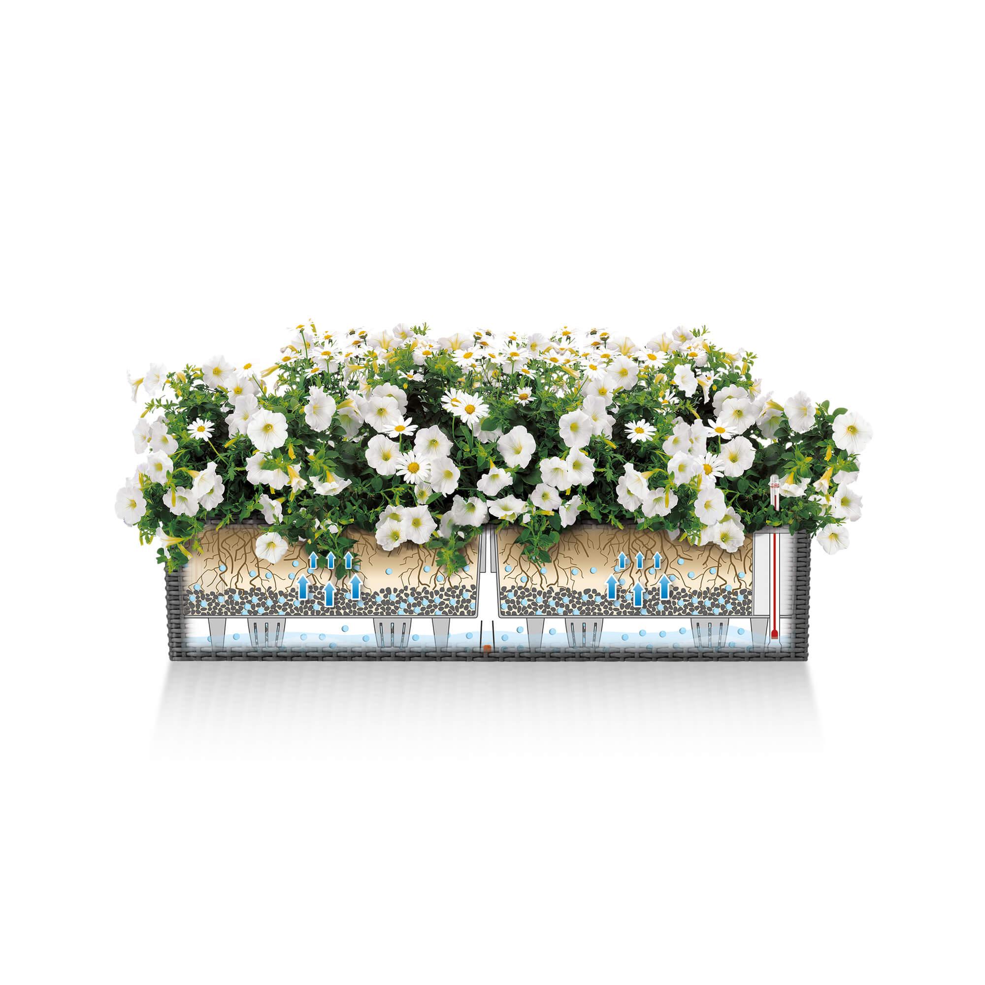 le_balconera-cottage80_product_addi_sws