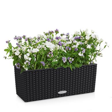 BALCONERA Cottage 50 noir graphite