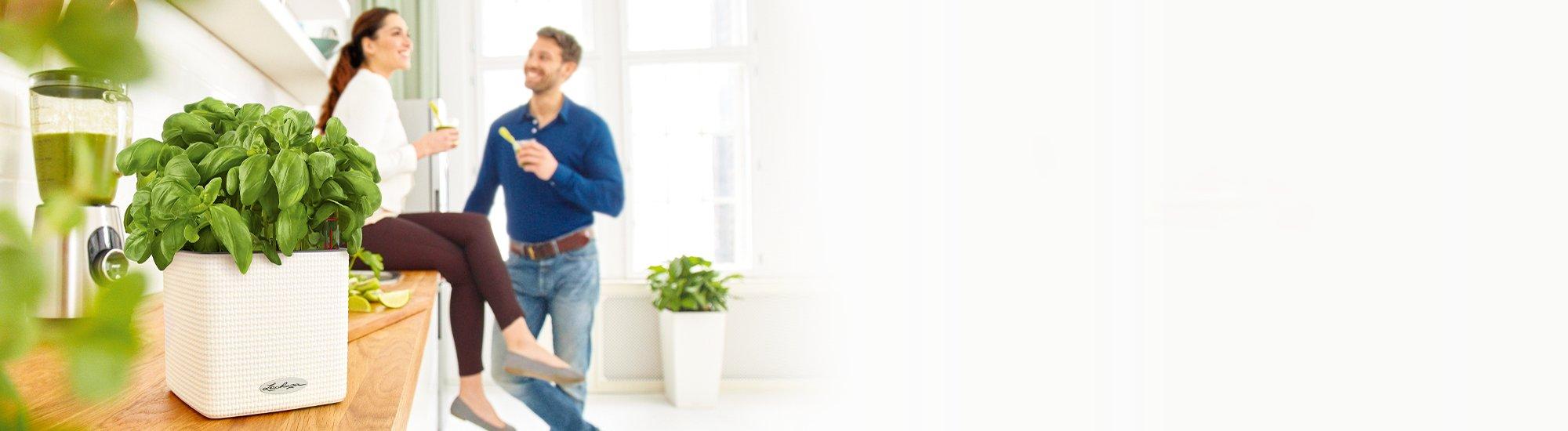banner-newsletter