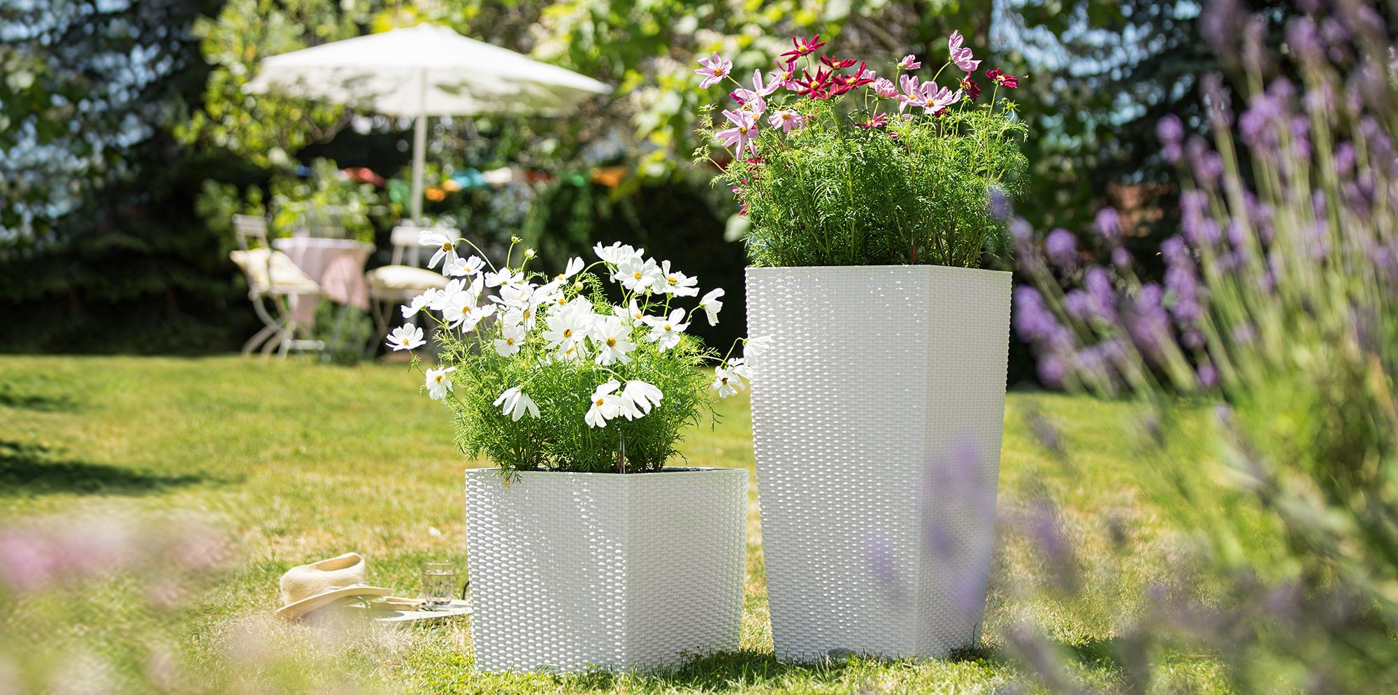 The LECHUZA Cottage Collection