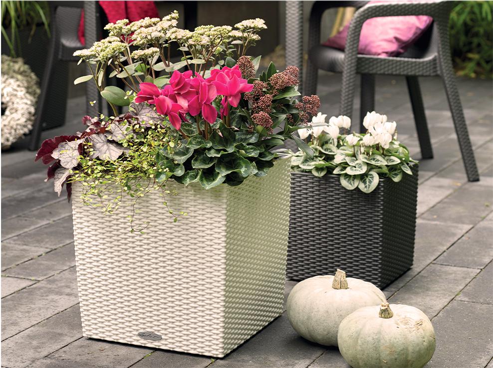 Прекрасные идеи для осенней атмосферы с LECHUZA