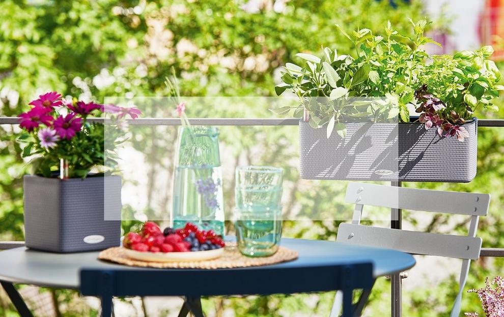 'Das perfekte Sommer-Duo - CUBE Color und CUBE Color Triple