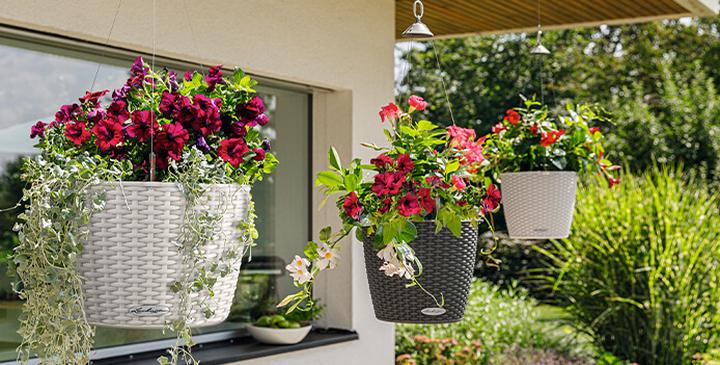 NIDO Cottage is the hanging basket from LECHUZA
