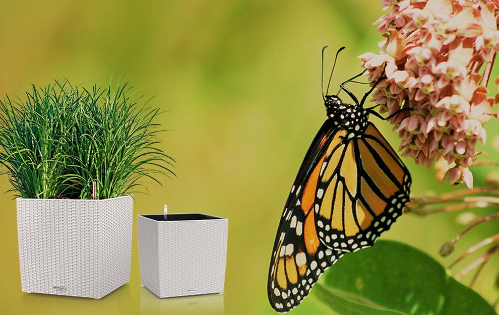 Special Offers on planters by creating sets