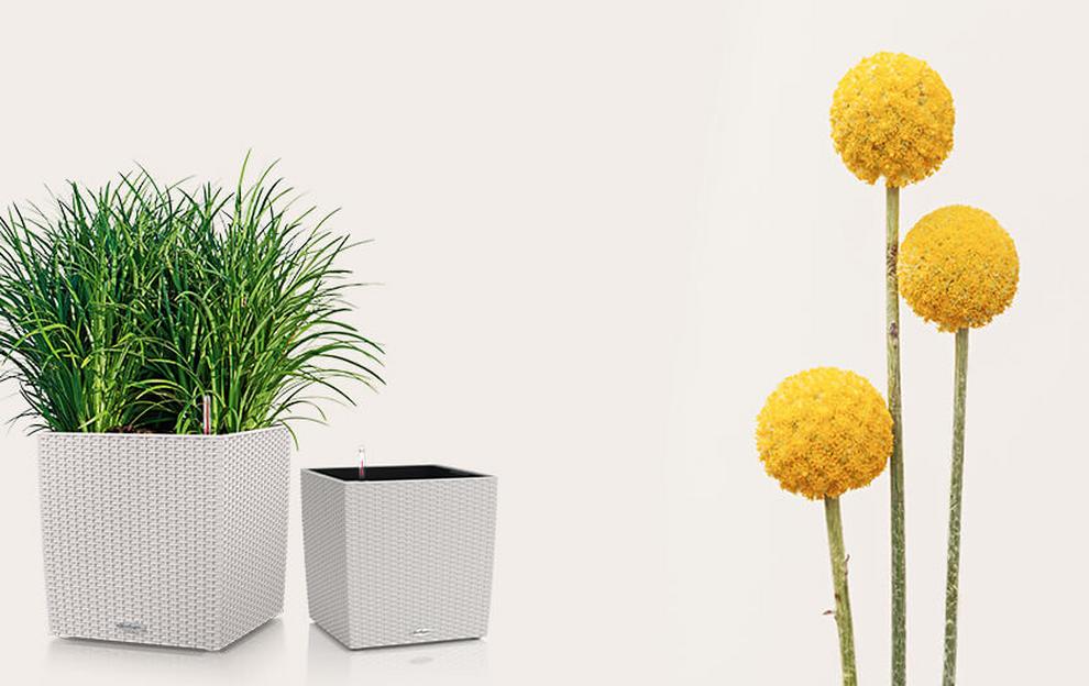 Special Offers on Planters by creating Sets
