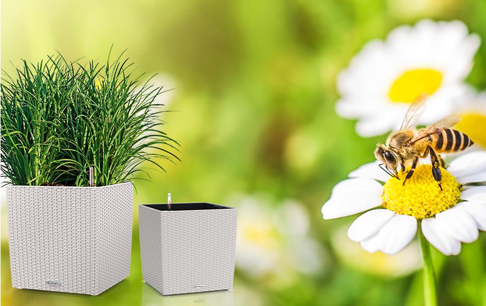 Special Offers on Planters by creating Sets