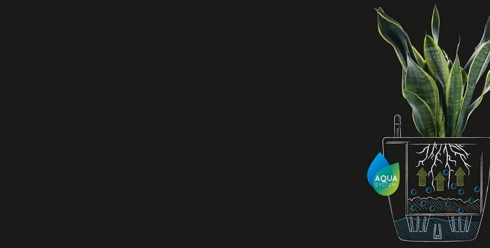 Система автополива LECHUZA