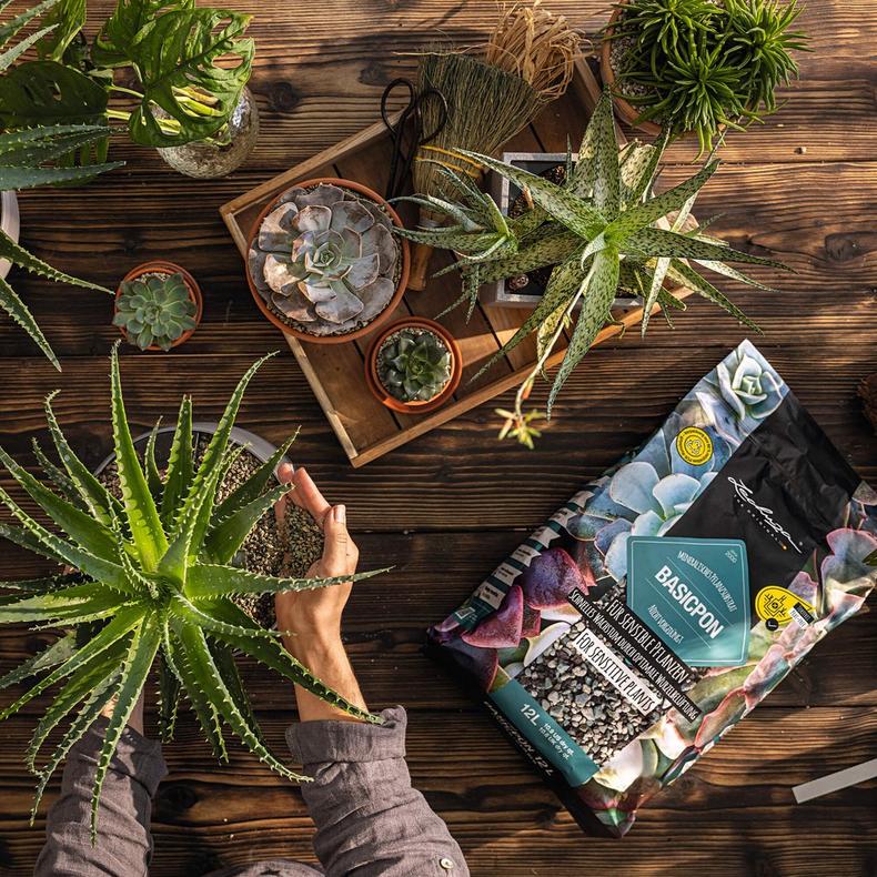 le_basicpon_product_addi_01