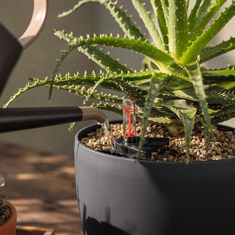 le_basicpon_product_addi_02