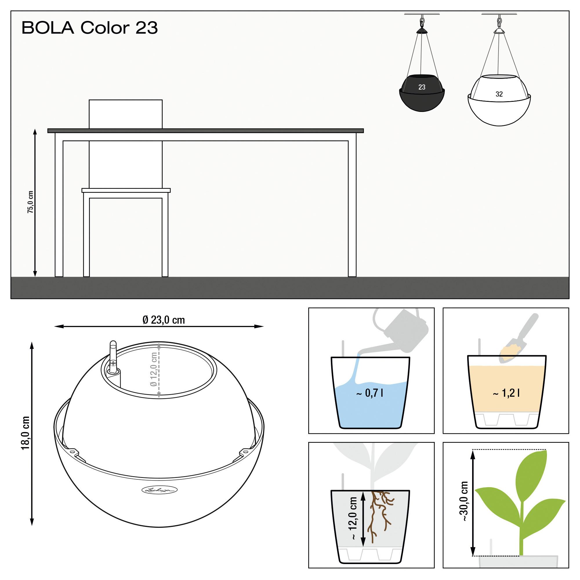 le_bola-color23_product_addi_nz
