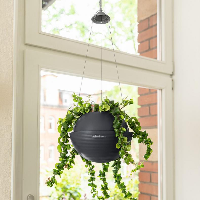 le_bola-color32_product_addi_01