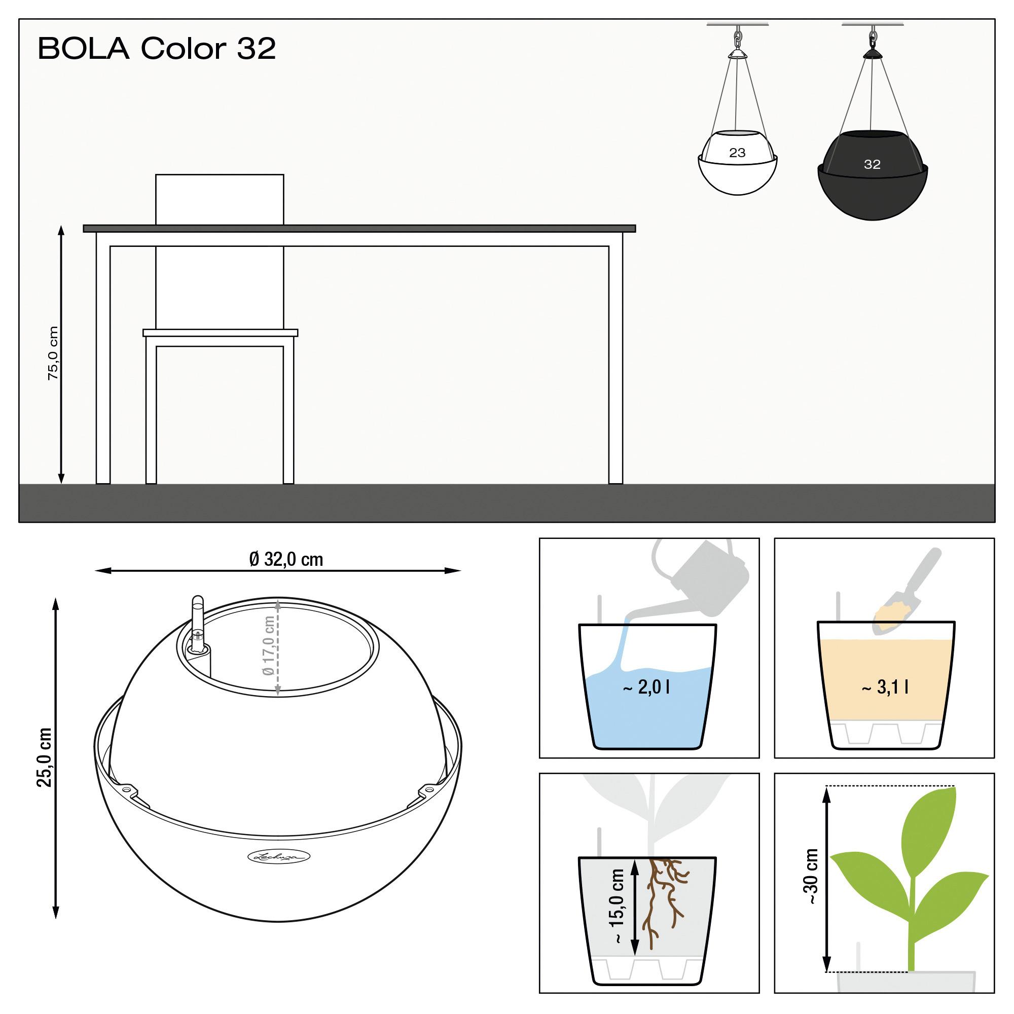le_bola-color32_product_addi_nz