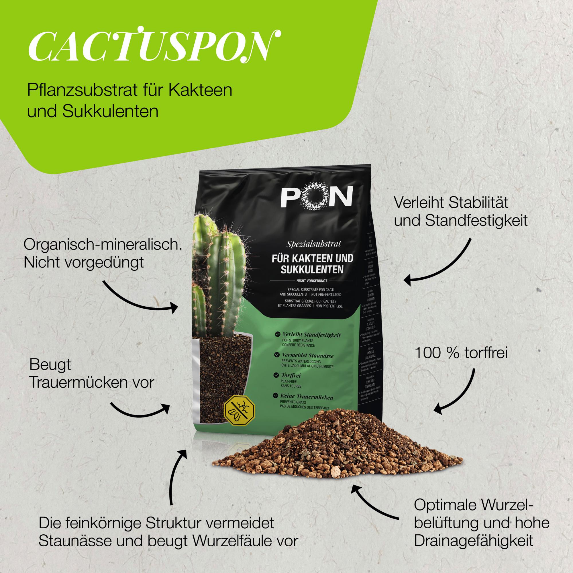 le_cactuspon_produktvorteile_de