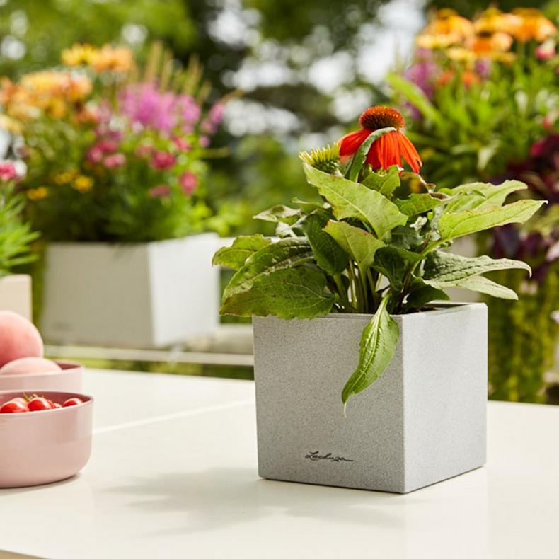 le_canto-stone-14_product_addi_02