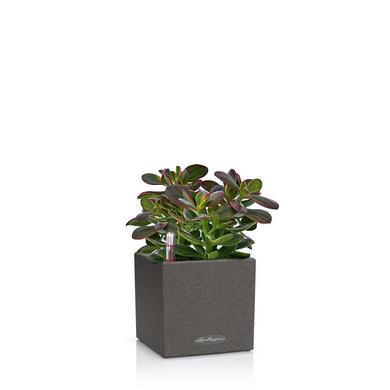CANTO Stone 14 graphitschwarz