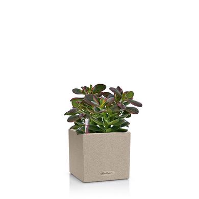 CANTO Stone 14 sandbeige