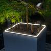 CANTO Stone 30 high LED quartz white additional thumb 10