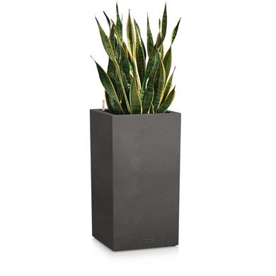 CANTO Stone 30 high graphite black
