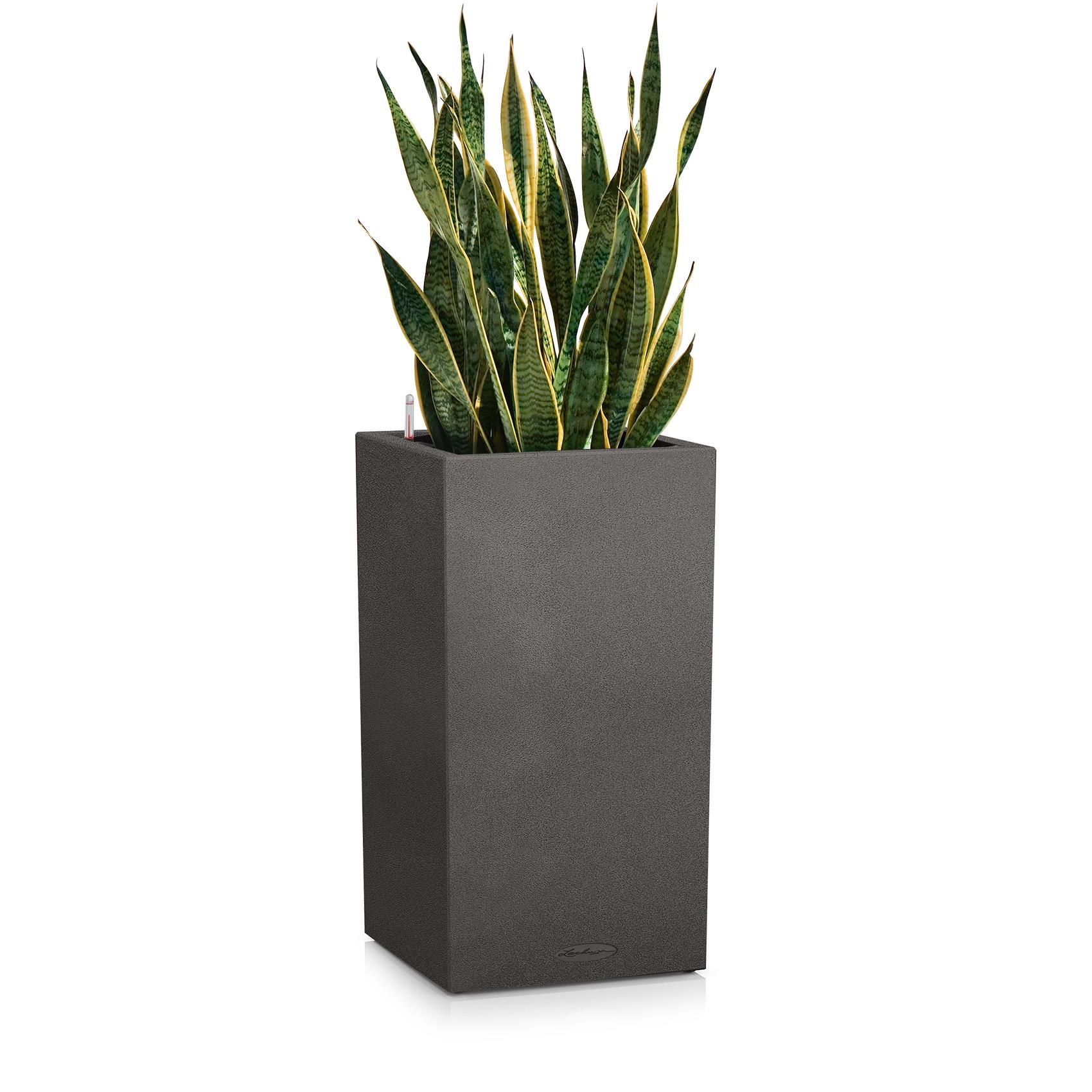 CANTO Stone 40 high графитовый черный