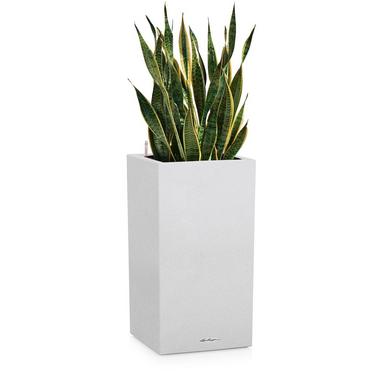 CANTO Stone 30 high blanc quartz