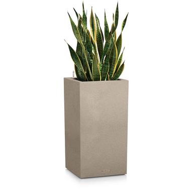 CANTO Stone 30 high sandbeige