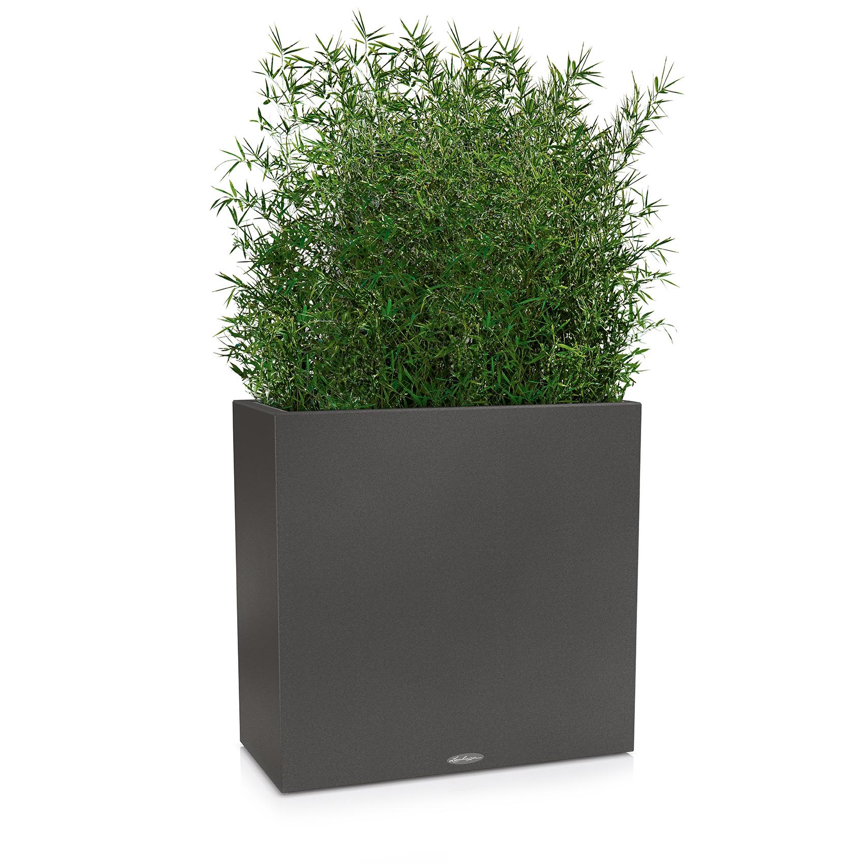 CANTO Stone 80 wide graphite spotted