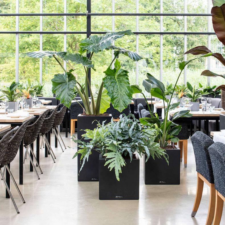 le_canto-stone-wuerfel_product_addi_02