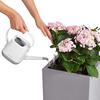 le_canto-stone-wuerfel_product_addi_watering Thumb