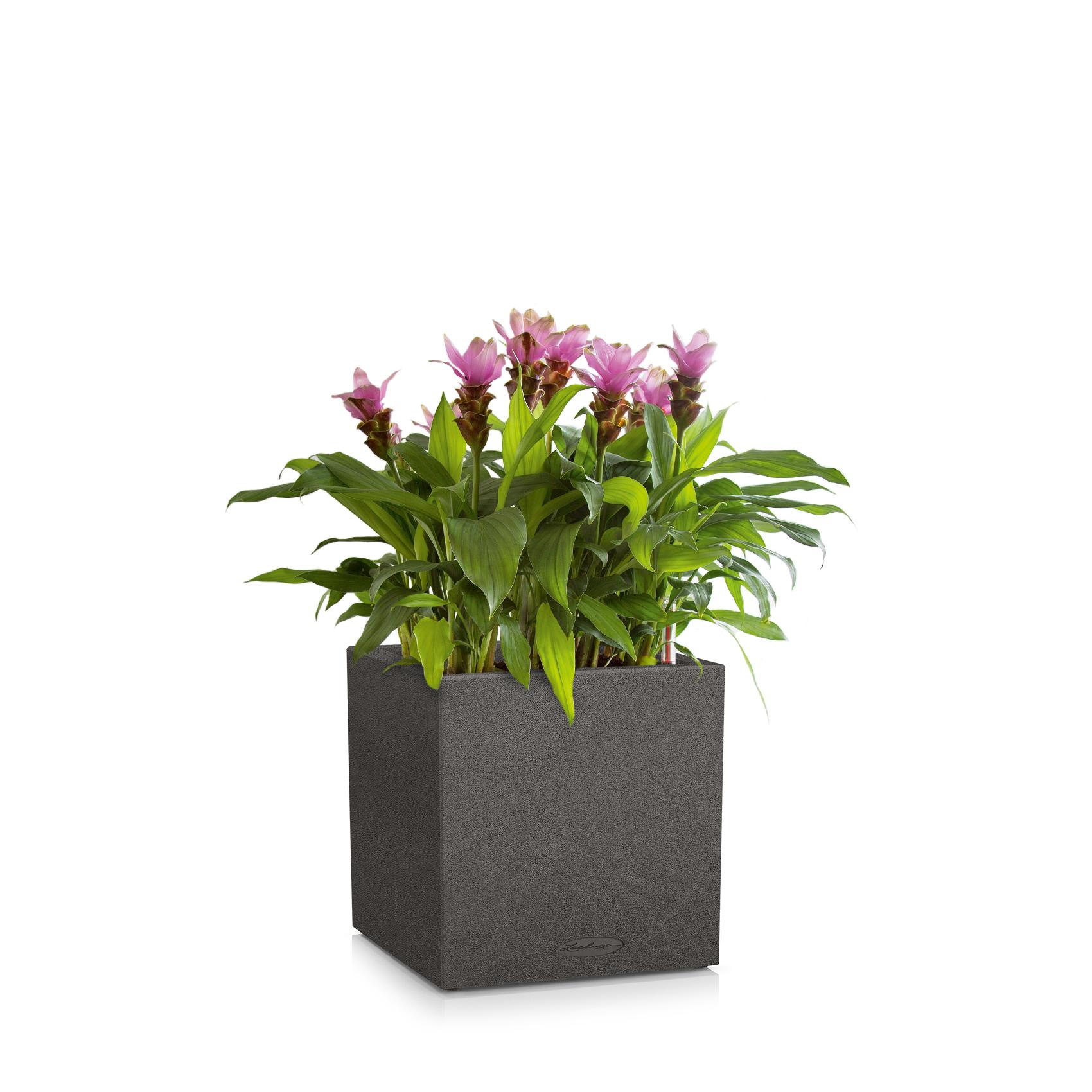 CANTO Stone 40 low graphite black