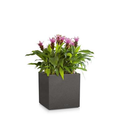 CANTO Stone 40 low graphite black
