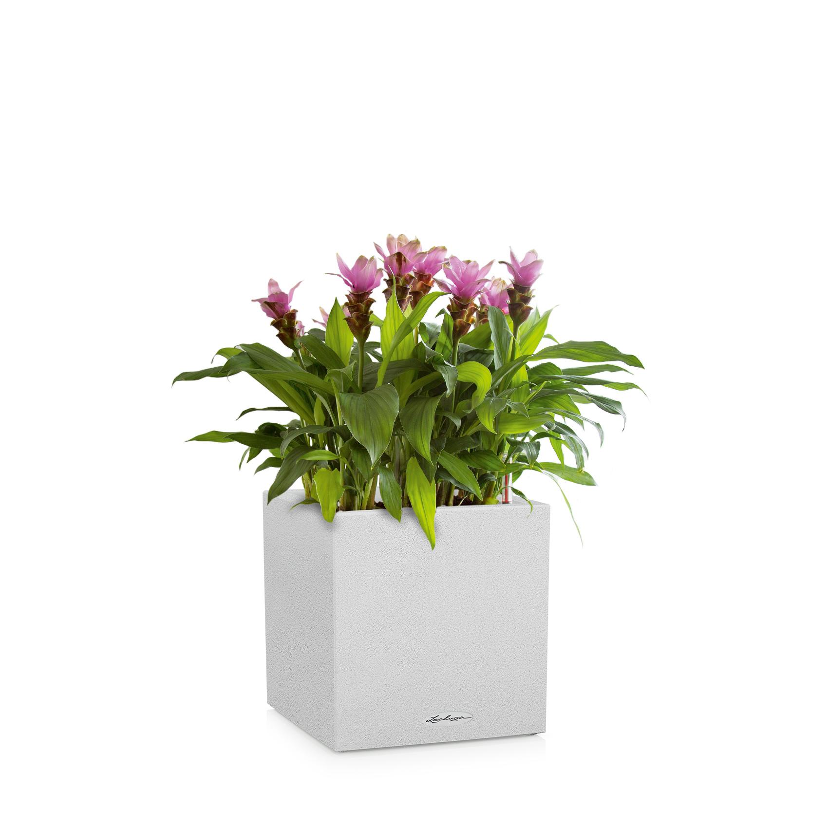 CANTO Stone 40 low blanc quartz